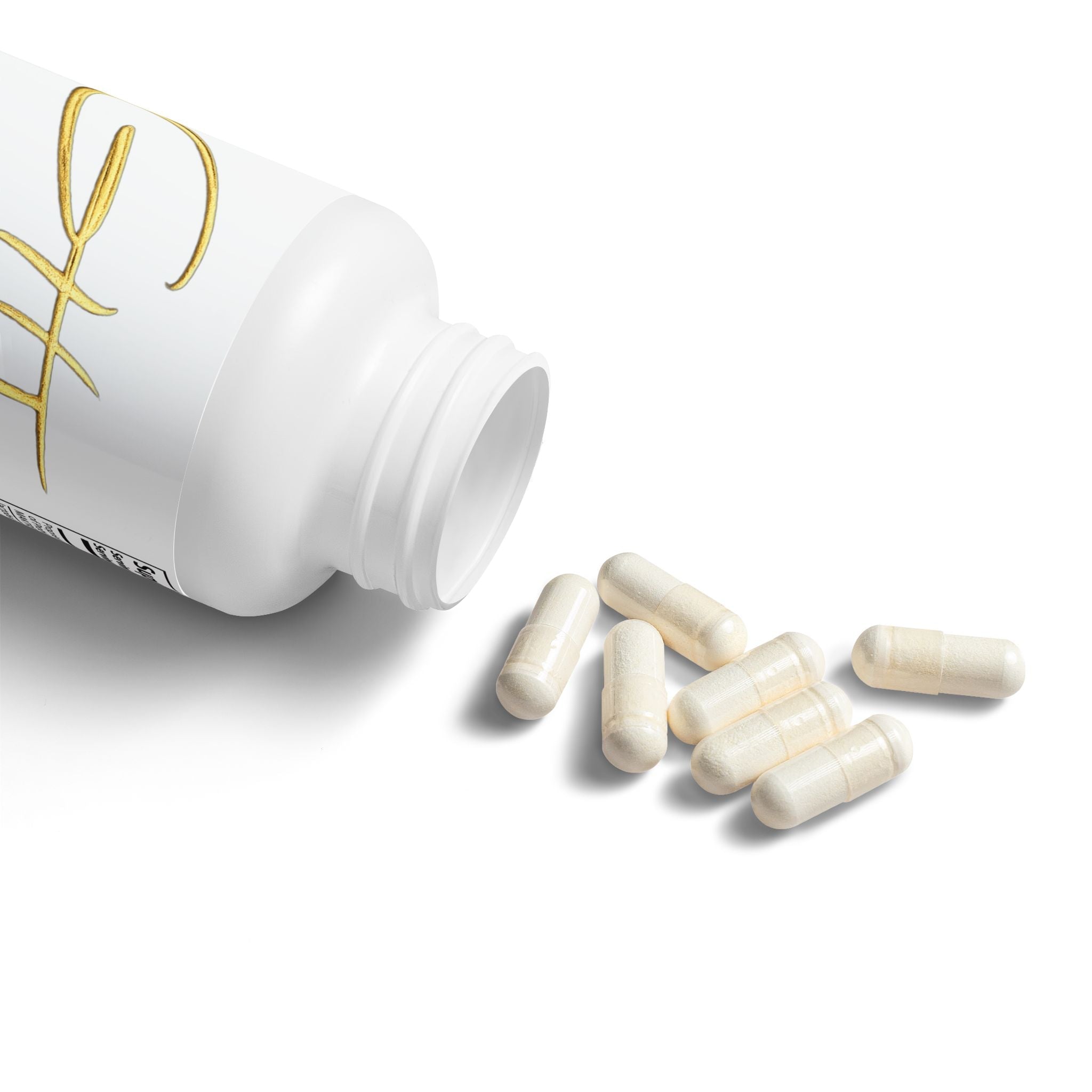 Probiotic Supplement – Digestive & Gut Support (60 Capsules)GHT SelfCare - GHT Official Store